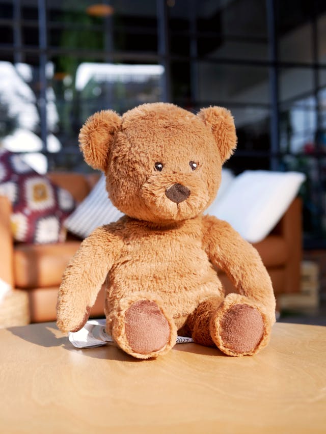 foto urso de pelucia